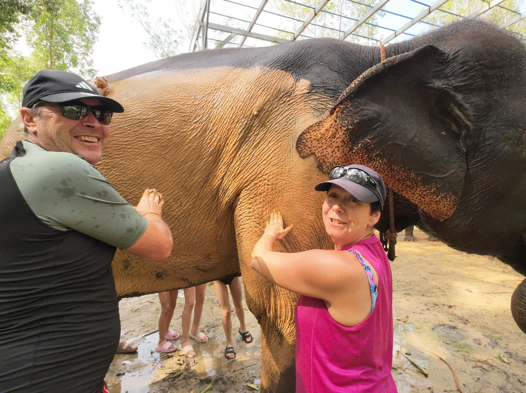 Elephant Care Park​ Phuket​-呈塔累必去景点