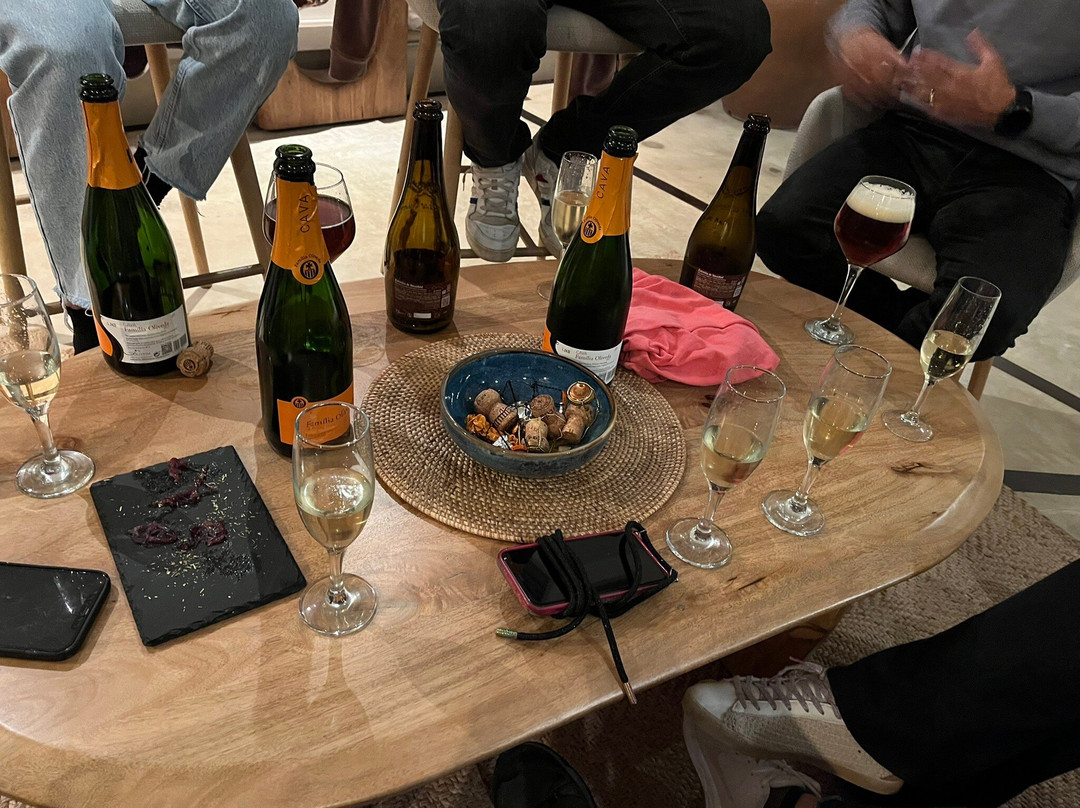 里乌佩蒂特酒店主图