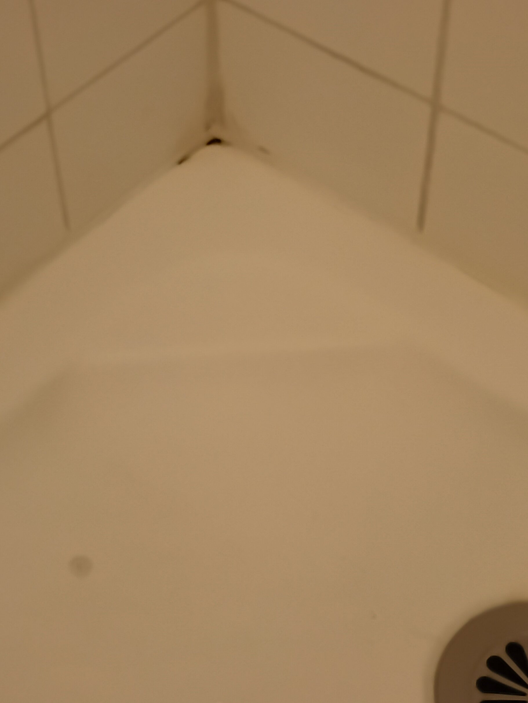 Pierre & Vacances Premium Residence Les Hauts Bois-浴室