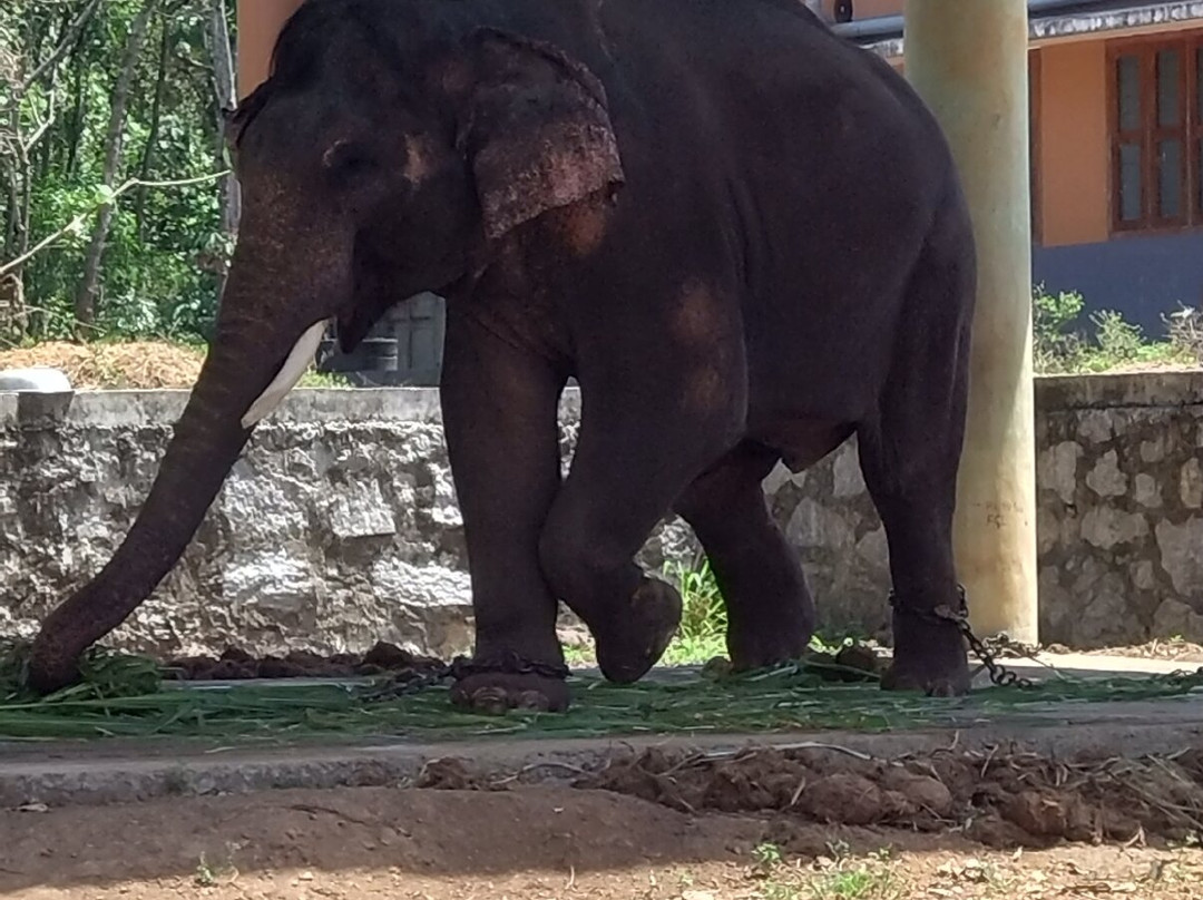 Neyyar Wild Life Sanctuary景点图片