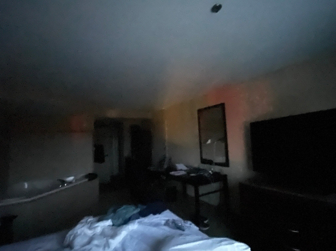 里士满机场希尔顿花园旅馆主图