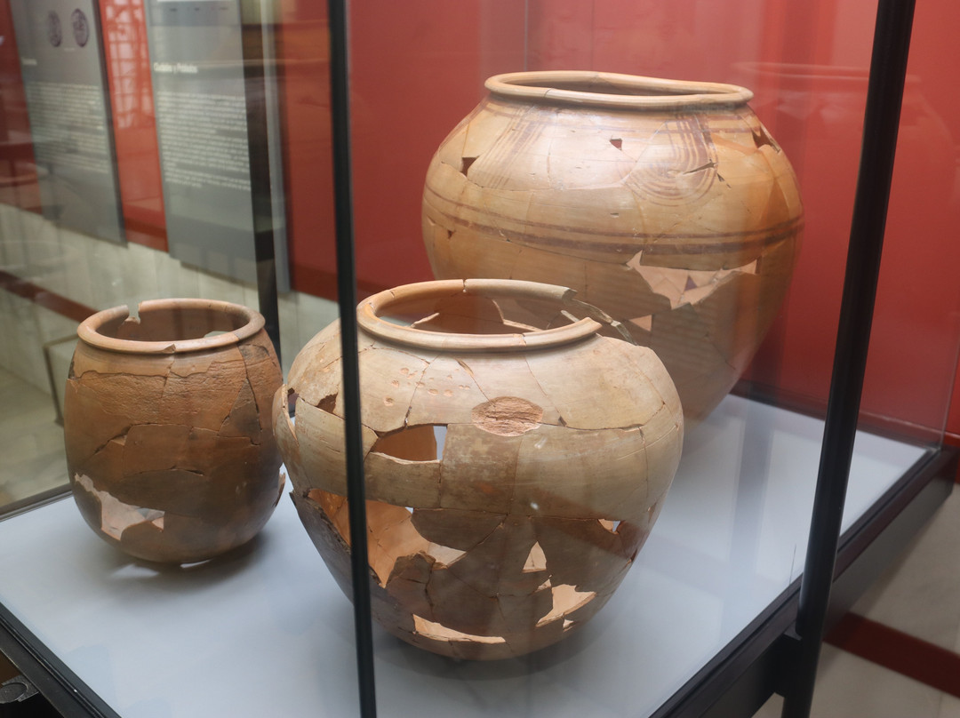 Museo Numantino景点图片