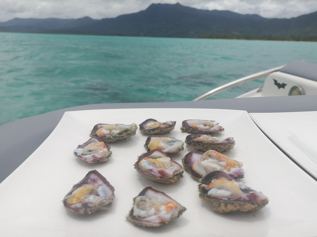 Lydia Boat Exclusive Boat Tour-莫纳山必去景点