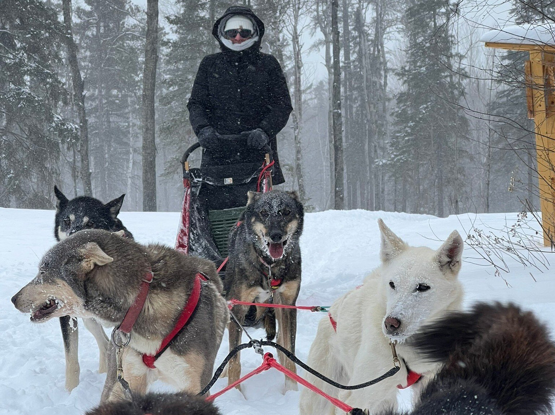 Chilly Dogs Sled Dog Trips-伊利必去景点