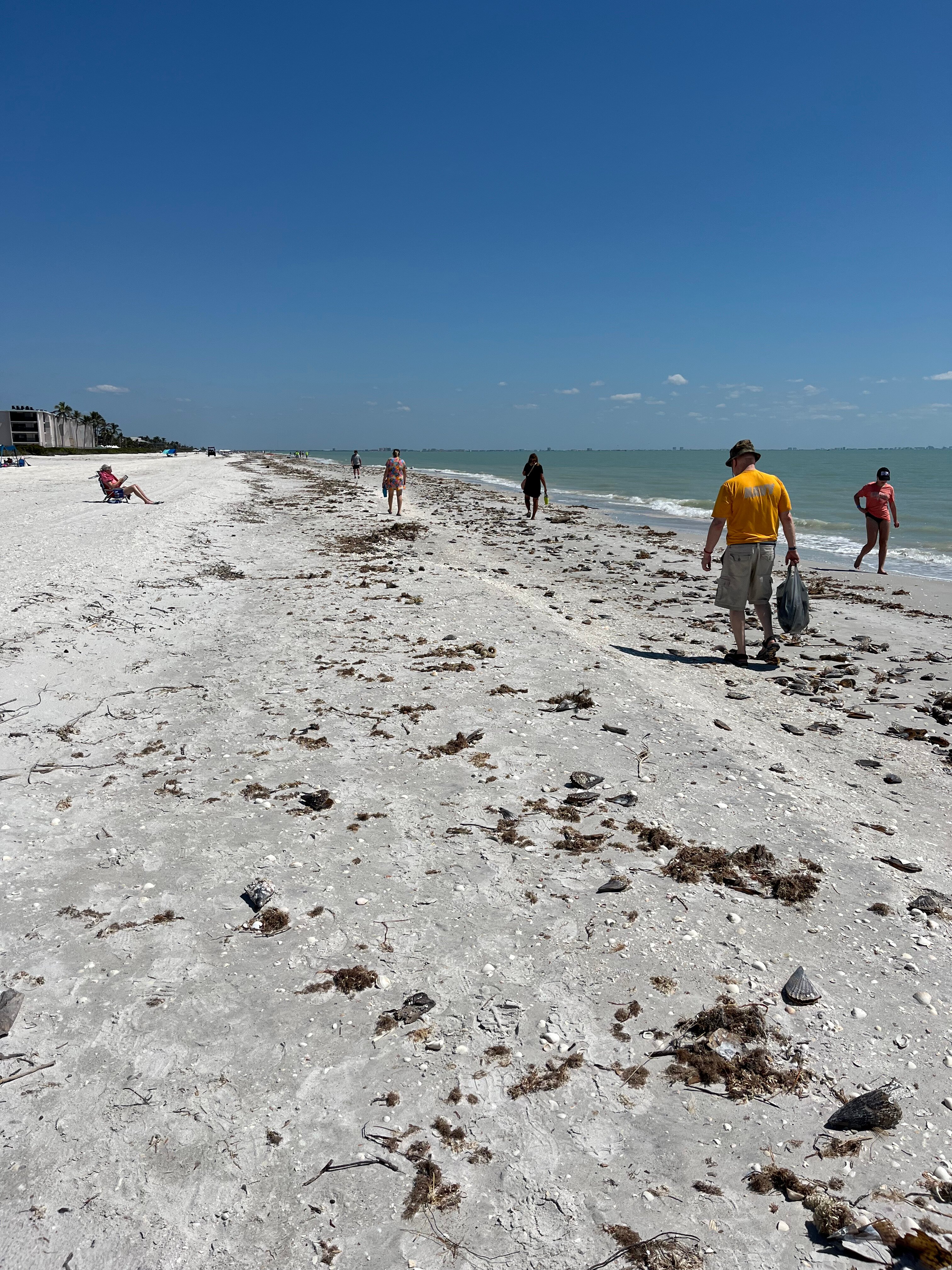 Sanibel Island Beach Resort-泳池