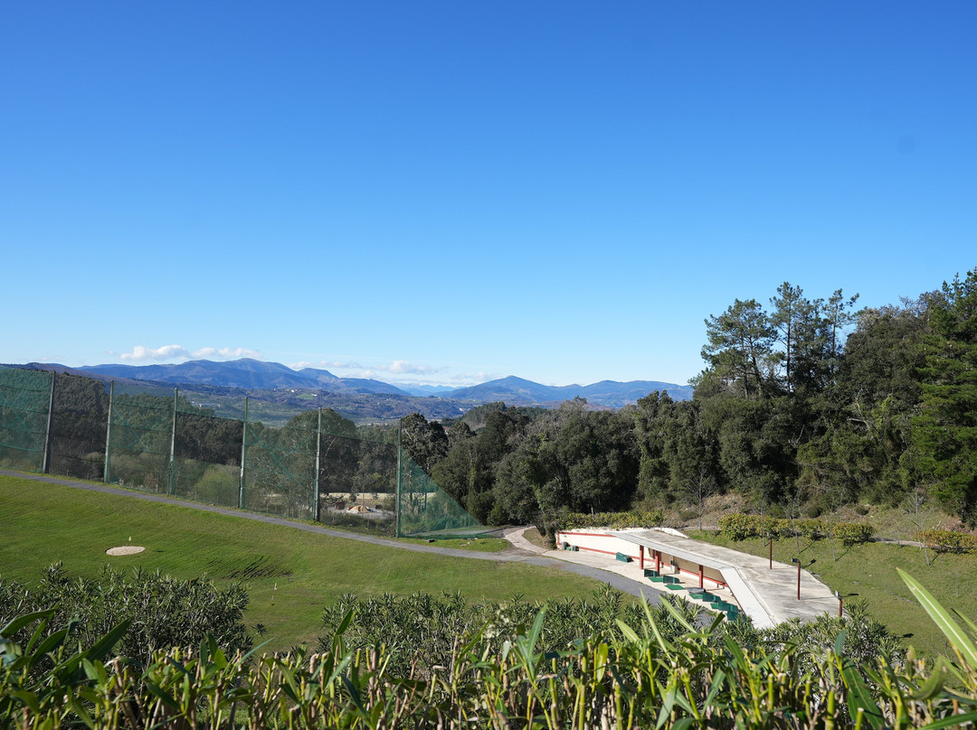 乌尔哥蒂皇宫酒店主图