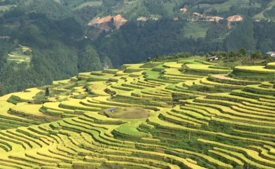 加榜梯田景点图片