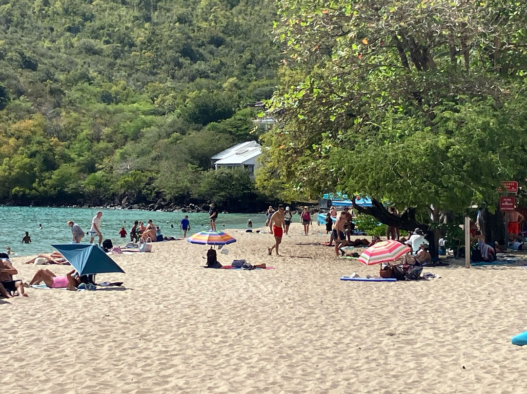 Grand Anse d'Arlet-Les Anses d'Arlet必去景点