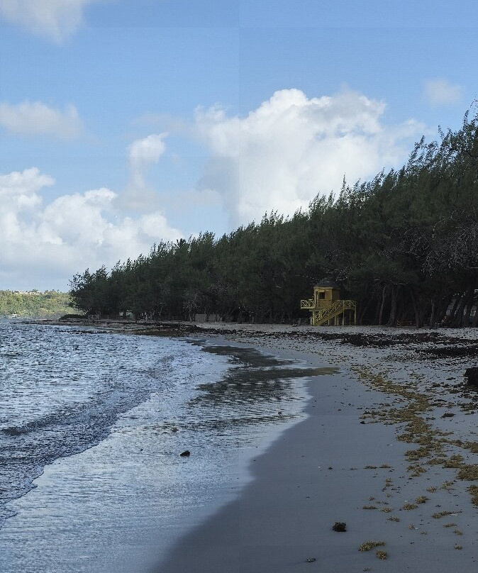 Bath Beach-Bathsheba必去景点