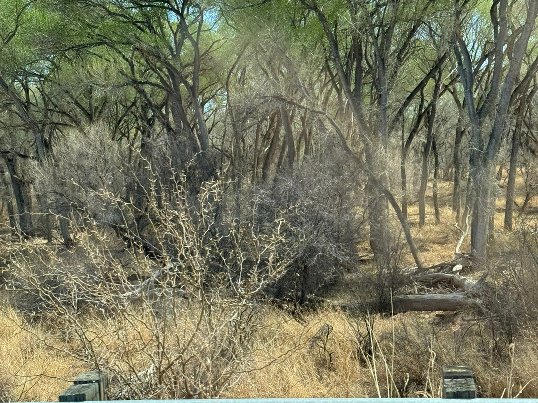 San Pedro Riparian National Conservation Area-谢拉维斯塔必去景点