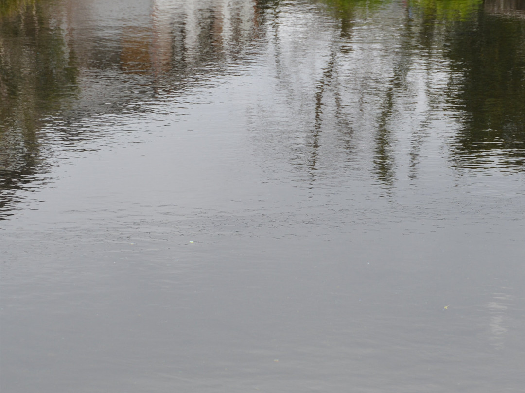 Yusui Park-富士市必去景点