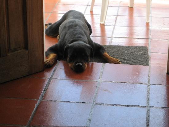 Caribbean Breeze主图