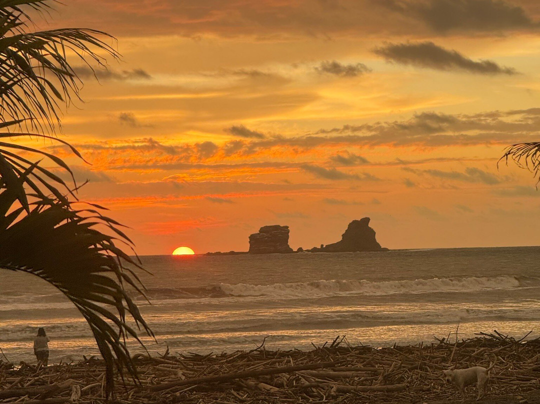 La Casa Hostel主图