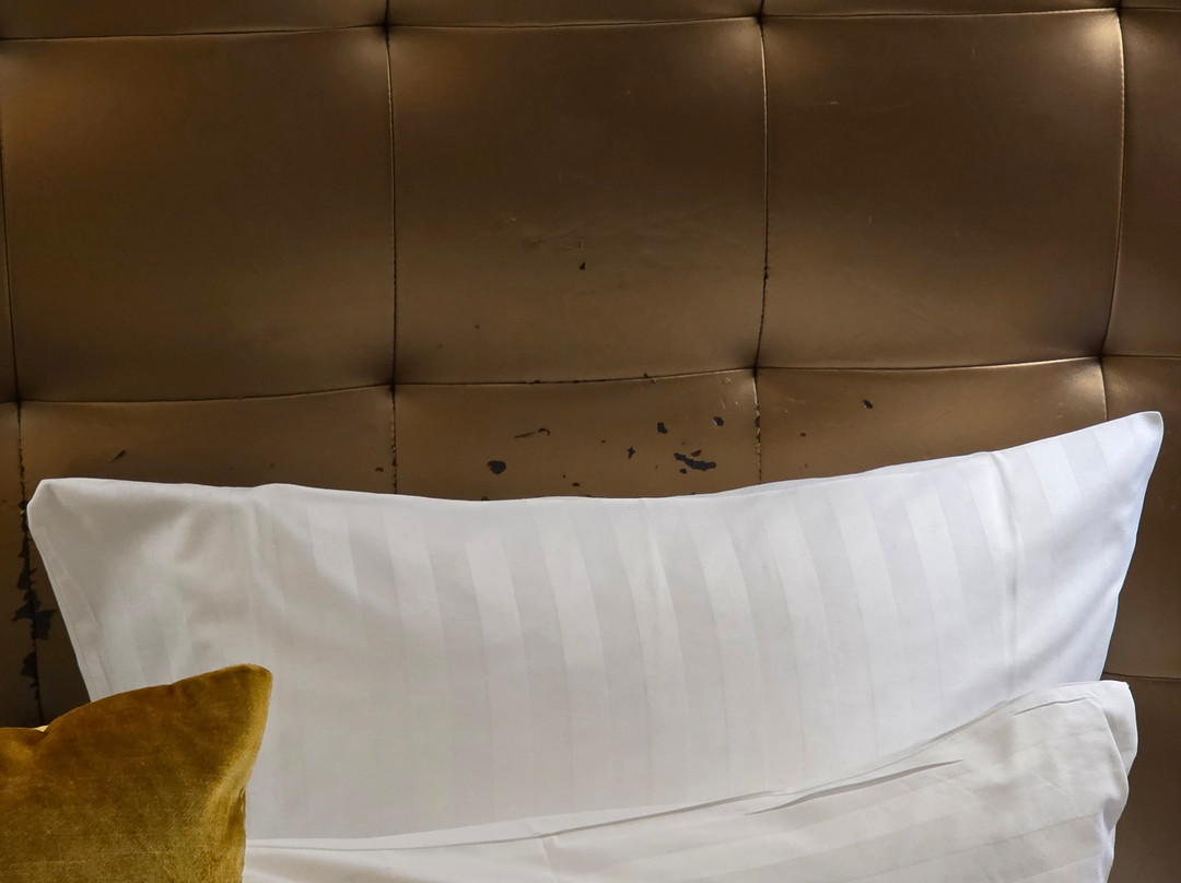 Hôtel Quality Suites Maisons Laffitte主图