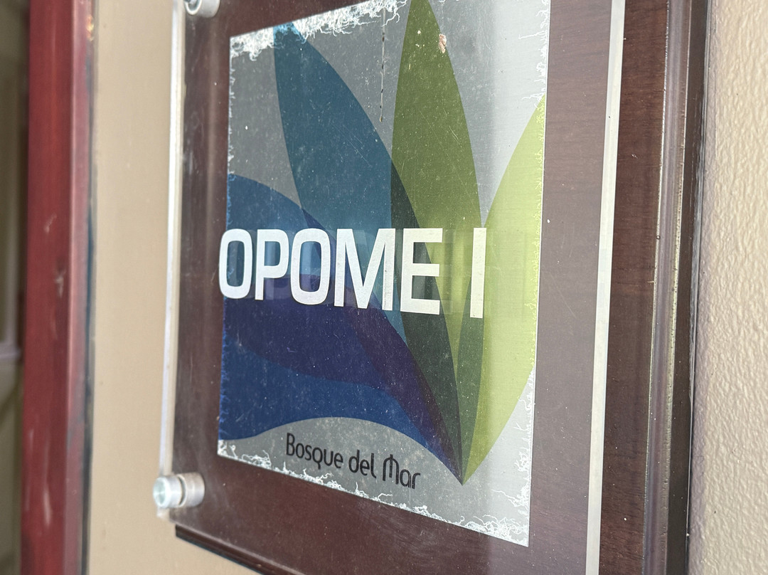 Hotel Bosque Del Mar Playa Hermosa主图