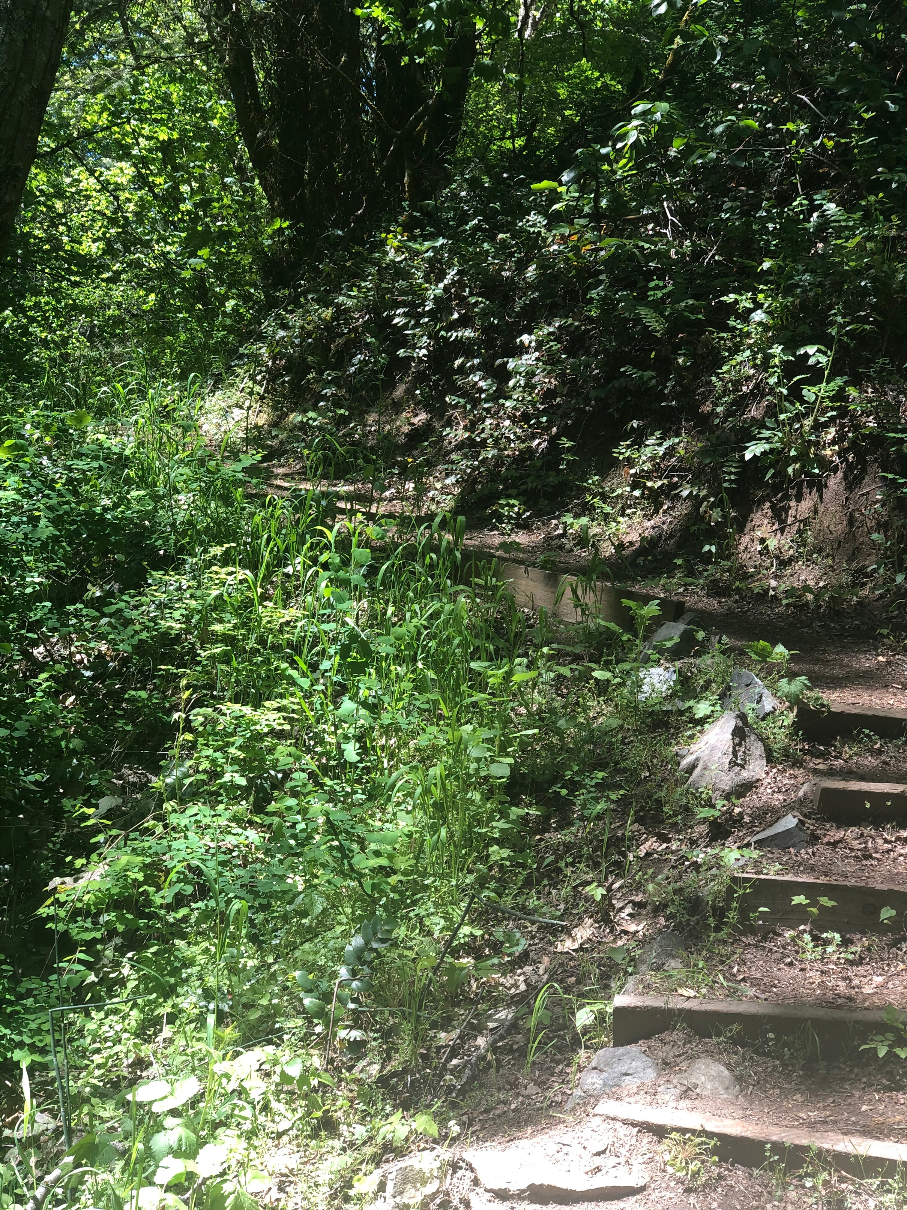 Élan Guest Suites-官方