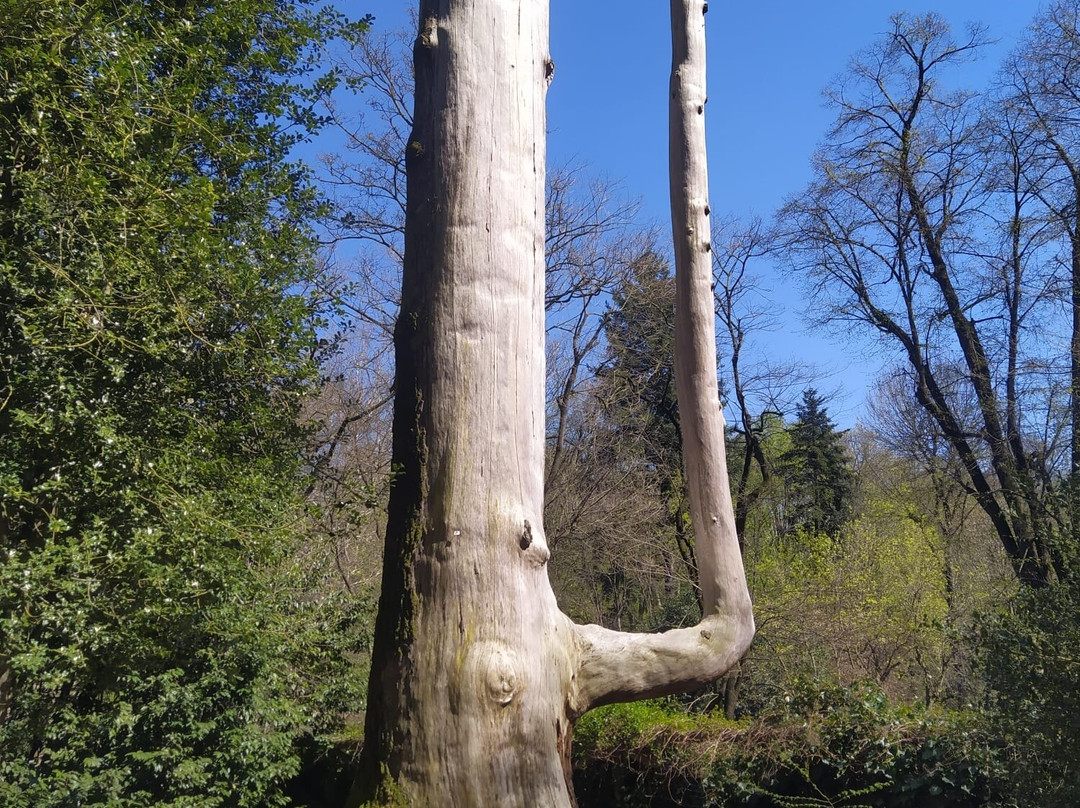 Parco del Castello Ducale di Agliè-Aglie必去景点
