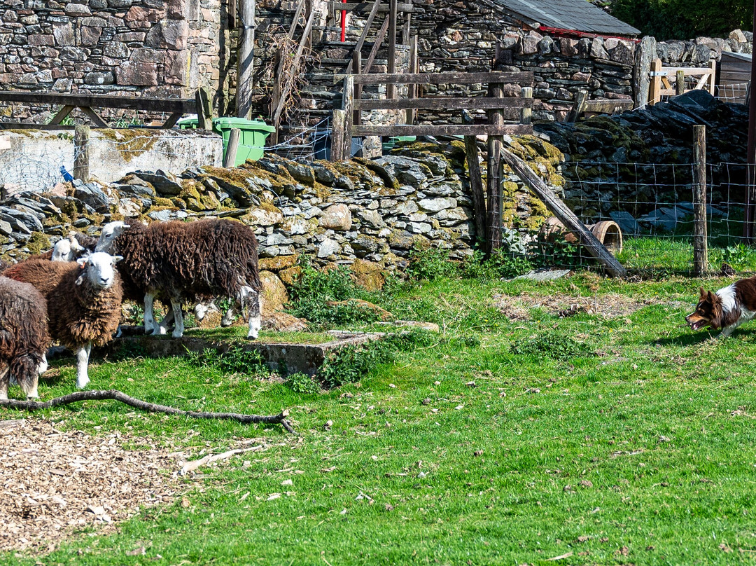Cragg House Farm-Buttermere必去景点