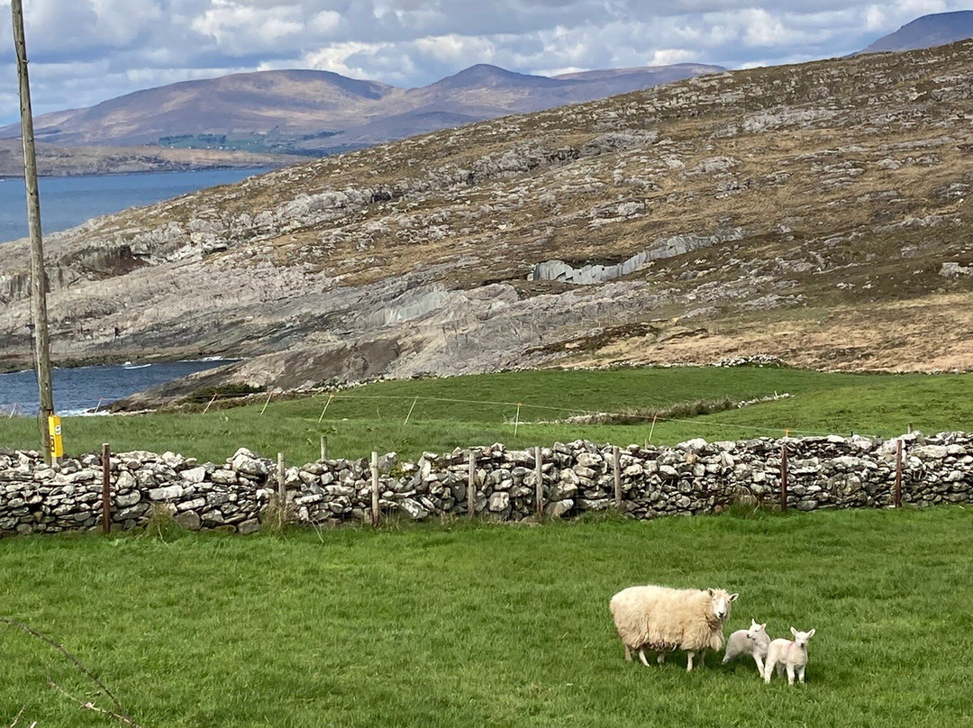 Sheep's Head Peninsula-Bantry必去景点