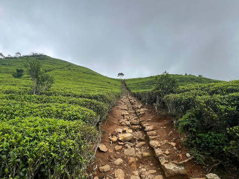 Mr journey-加勒必去景点