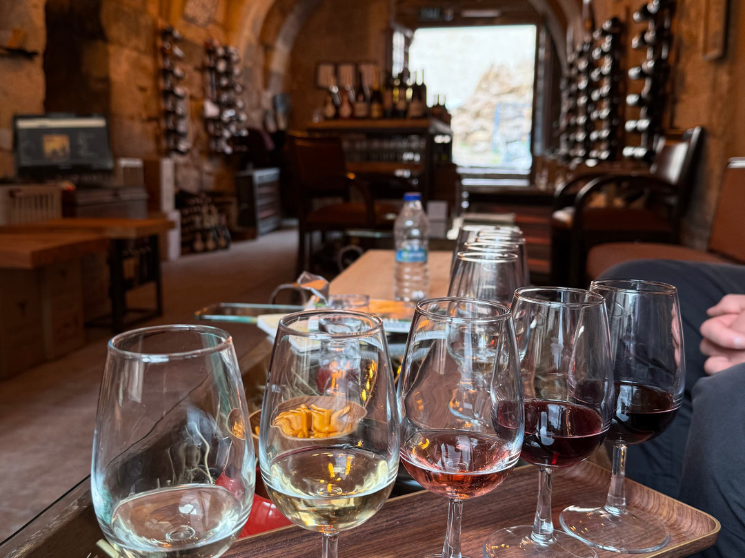 Vinodocia Wine & Art House景点图片