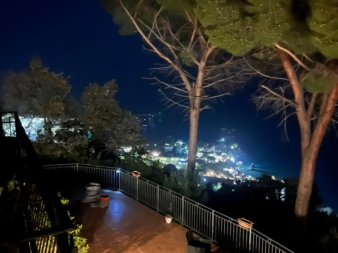 Alba Tra I Pini B&B主图