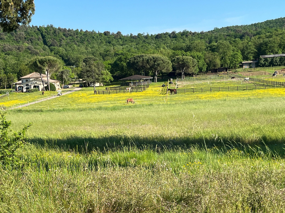 Paradiso Del Cavallo-Bagnaia必去景点