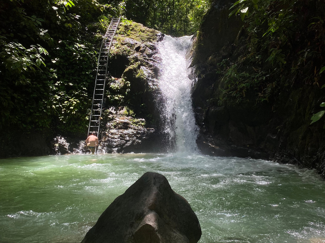 Tropical Waterfalls Tour景点图片