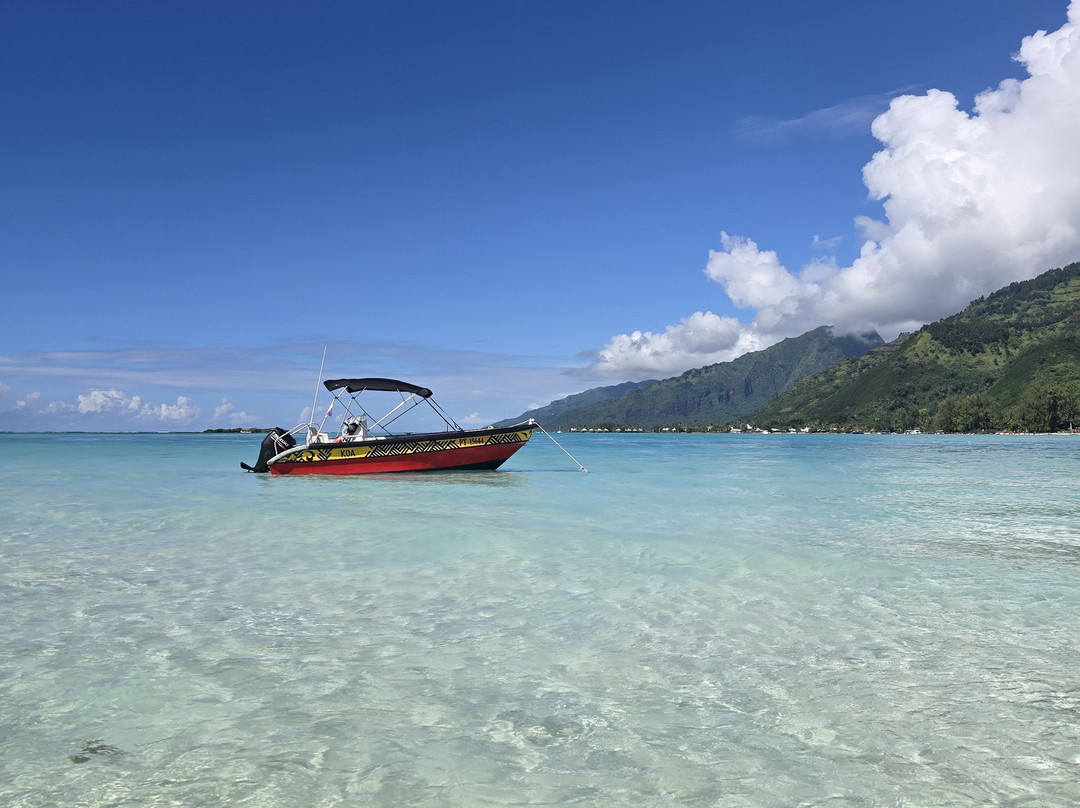 Koa Boat Tour-Tiahura必去景点