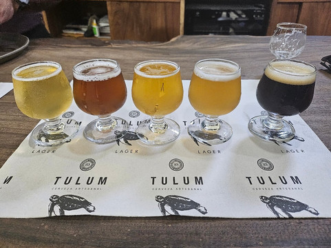 Ritual Sagrado en Tulum: Chamán, Cenote Secreto y Cata Mística-图伦必去景点