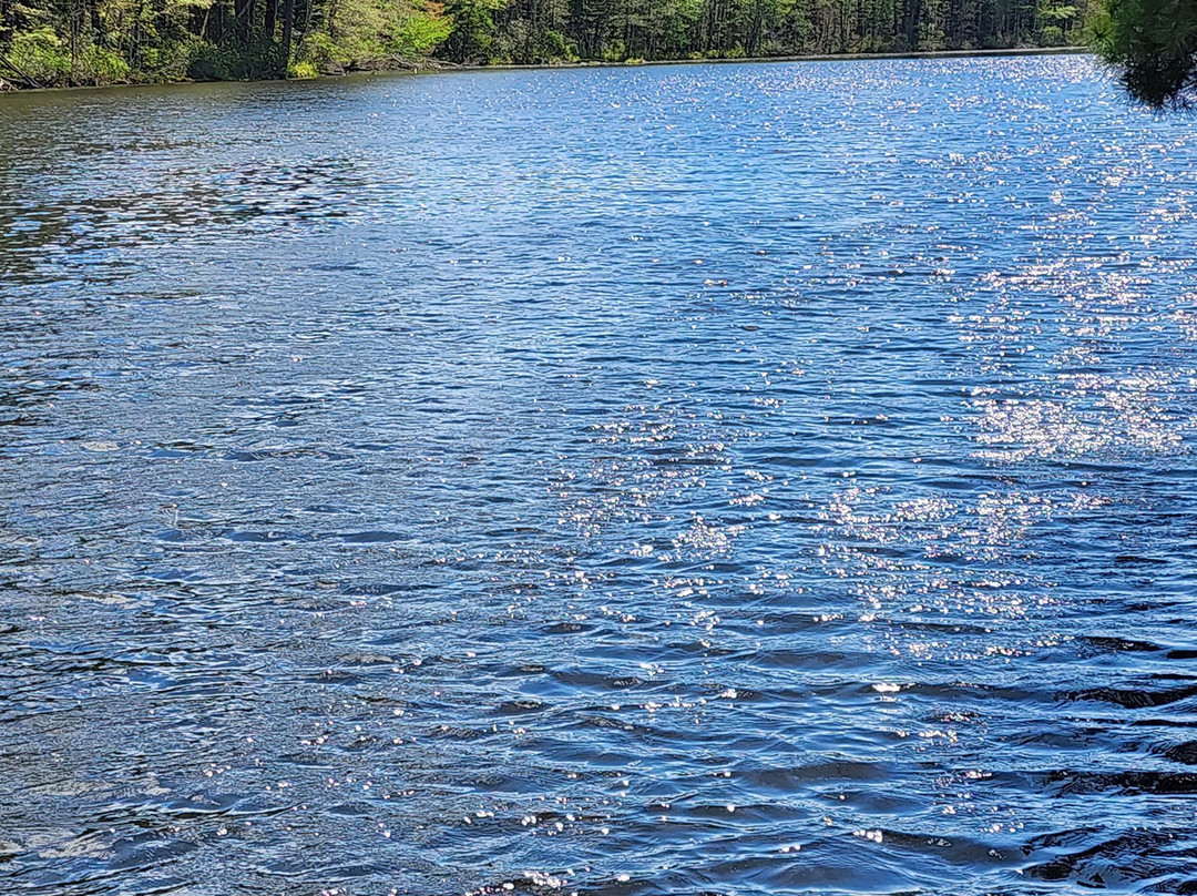 Pine Lake Rv Resort & Cottages