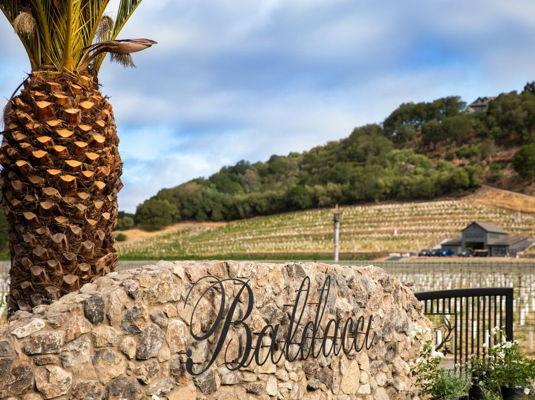 Baldacci Family Vineyards-纳帕必去景点