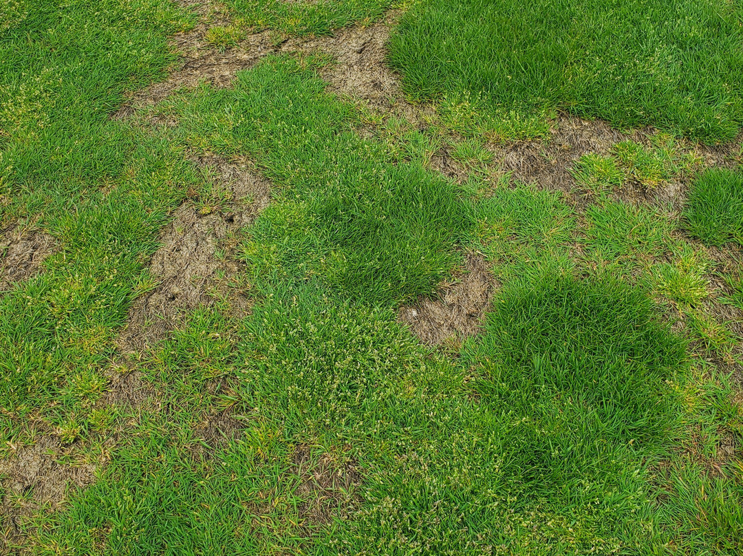 Maumee Bay State Park Golf Course