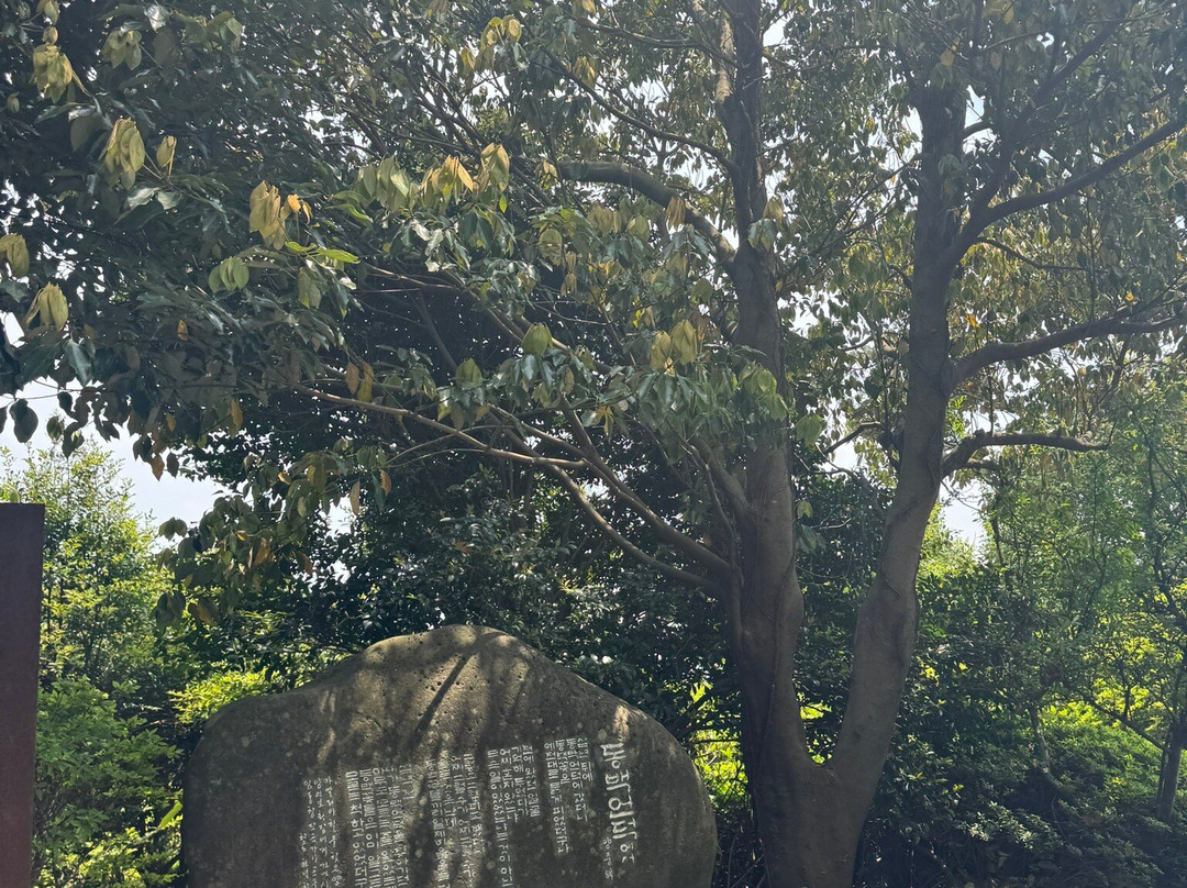 Camellia Hill-西归浦市必去景点