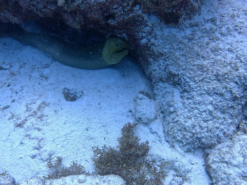 The Dive Machine-普拉亚德尔卡曼必去景点