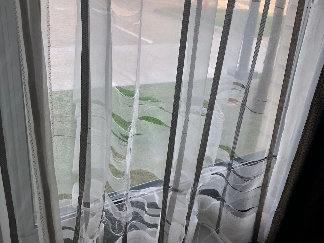 StoneHill Norman, Trademark Collection by Wyndham主图