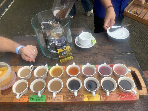 Bali 4U Tours-沙努尔必去景点