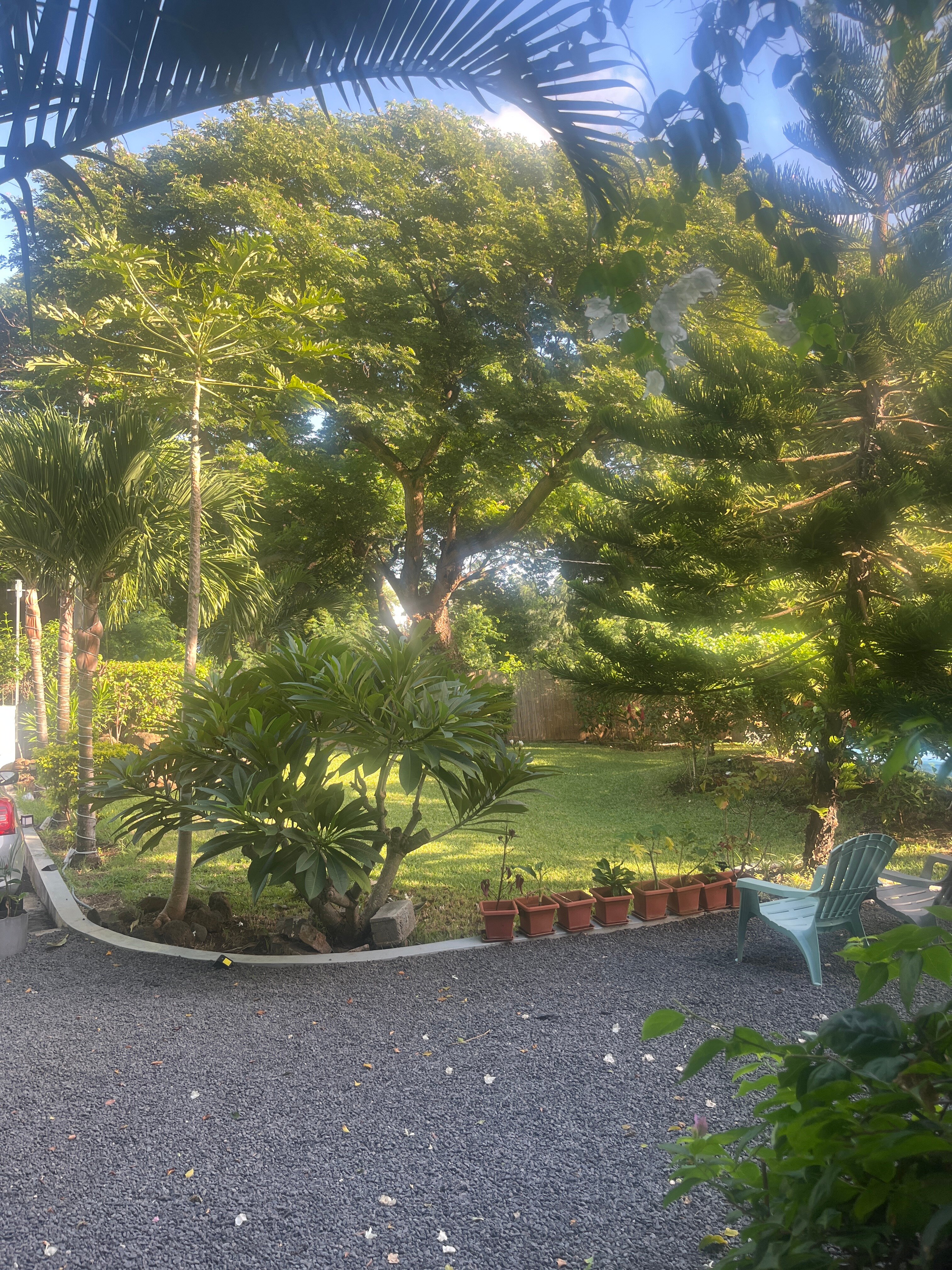 Villa Osumare Guest House-官方