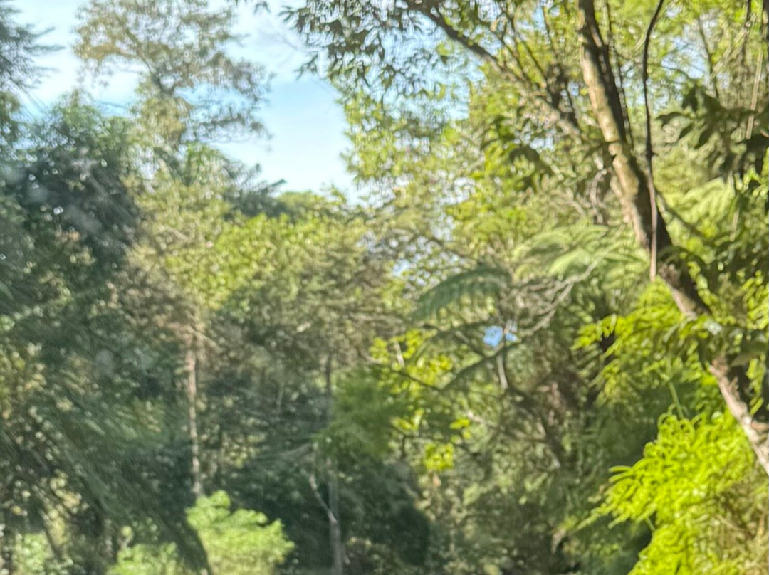 Fora Beach (Ranchos)-帕拉地必去景点