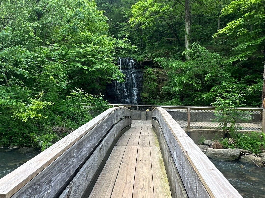 Cove Springs Park-法兰克福必去景点