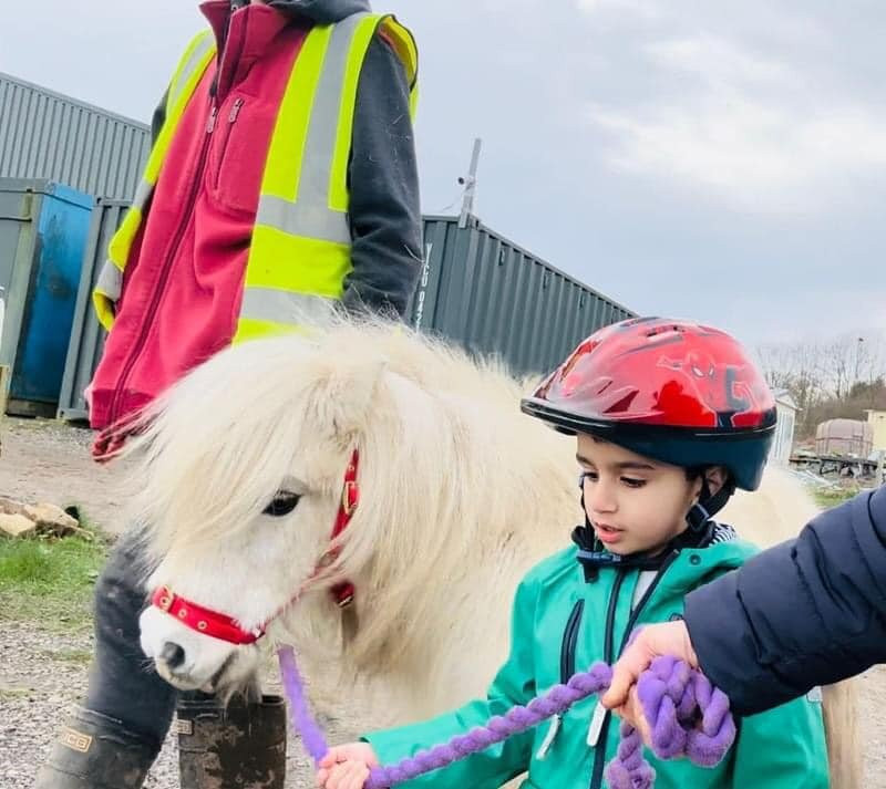 Melbourne Animal Farm-Melbourne必去景点