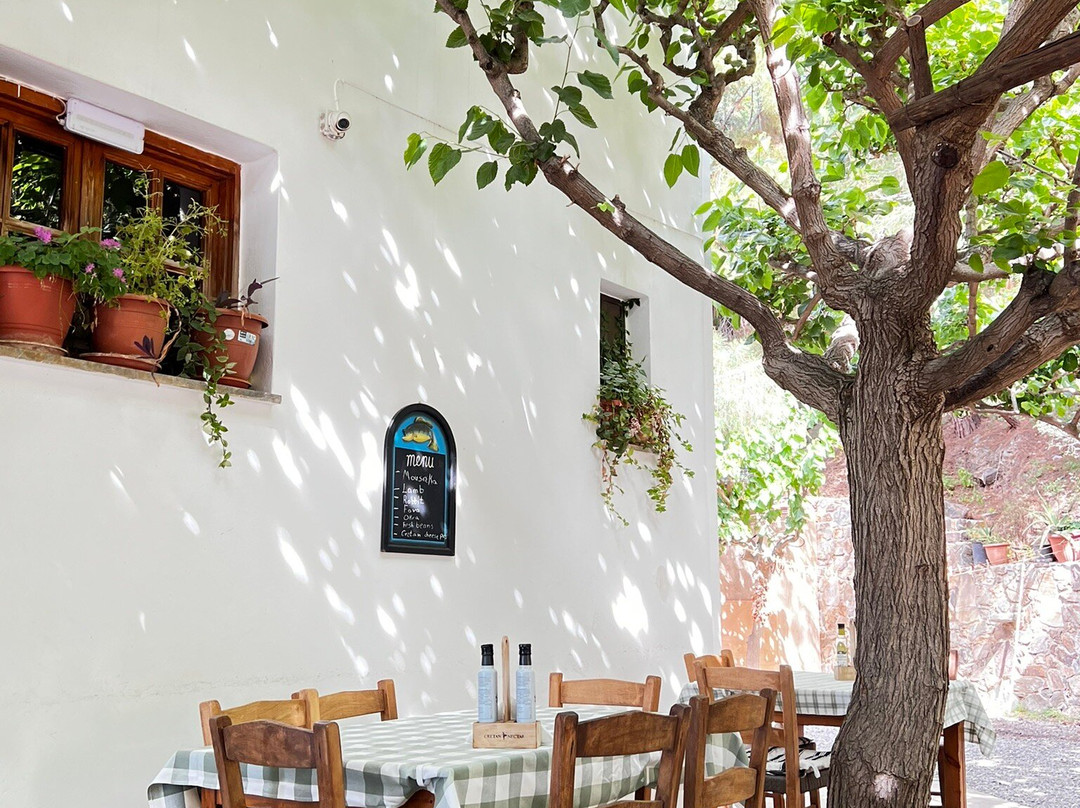 Waves on the Rock主图