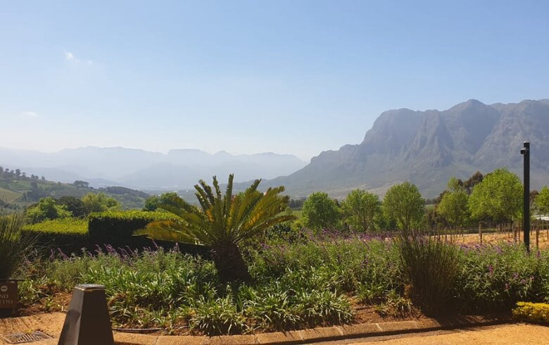 Randy's Private Day Tours-开普敦中心区必去景点