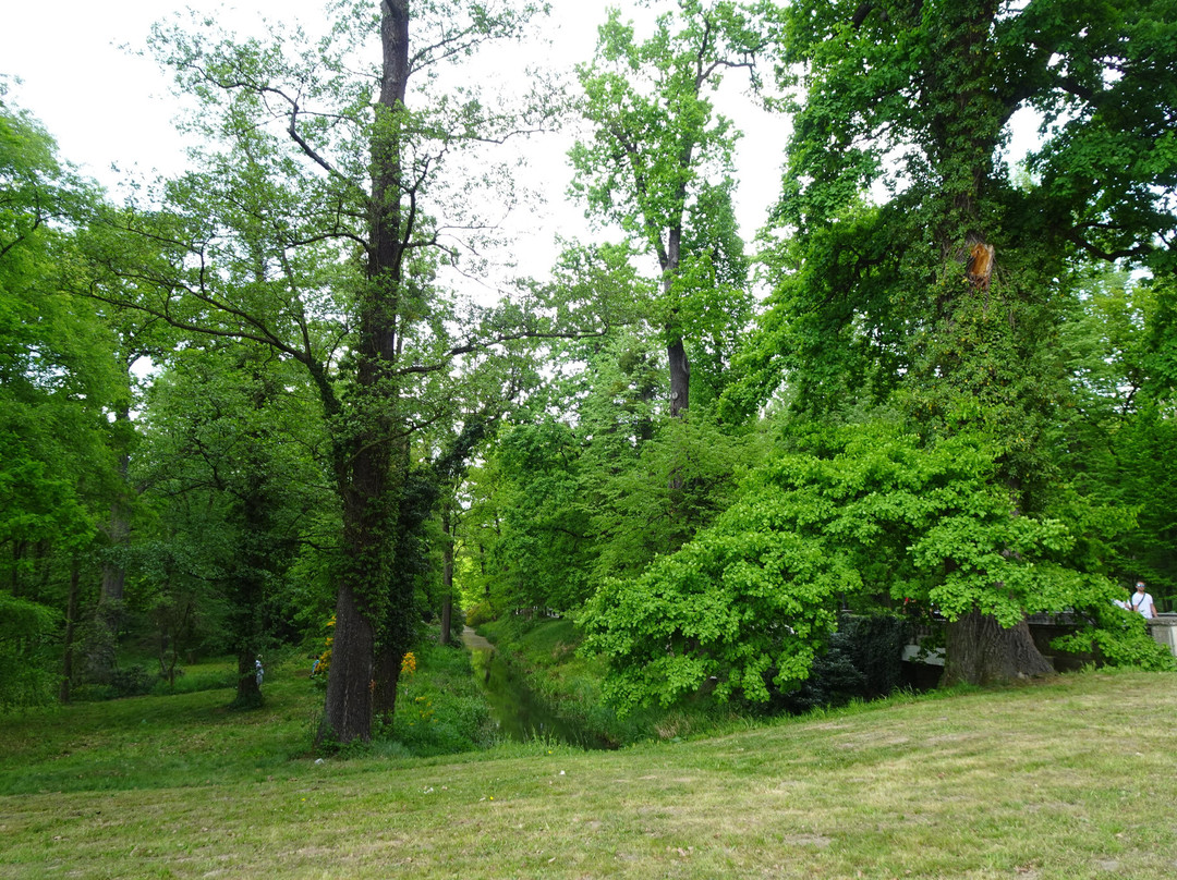 Park Zamkowy W Mosznej景点图片