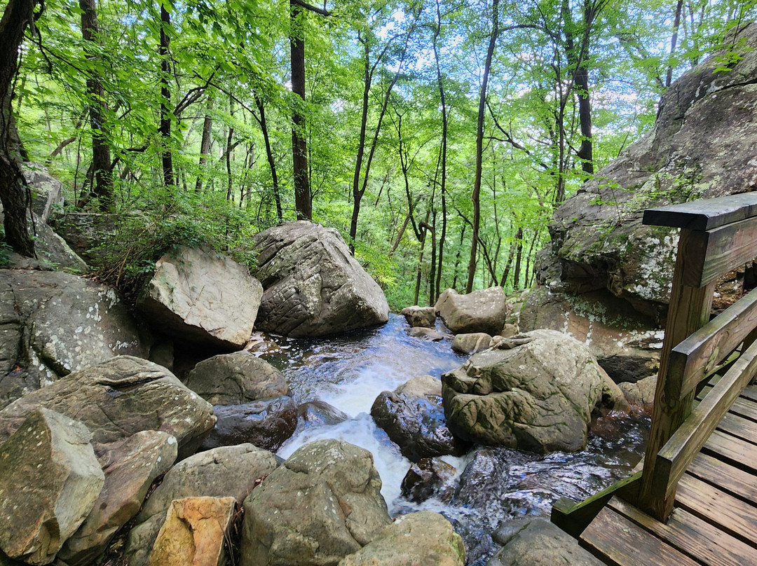 Glen Falls Trail-查塔努加必去景点