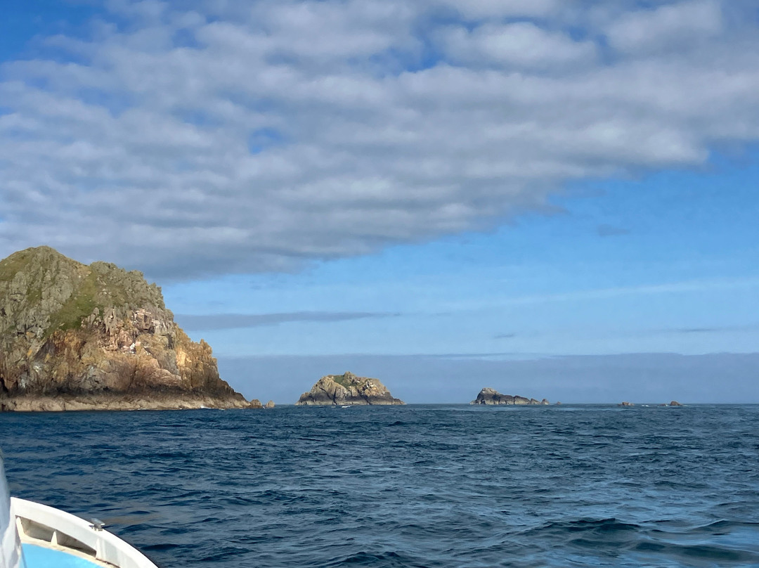 Avante Boat Trips-Alderney必去景点