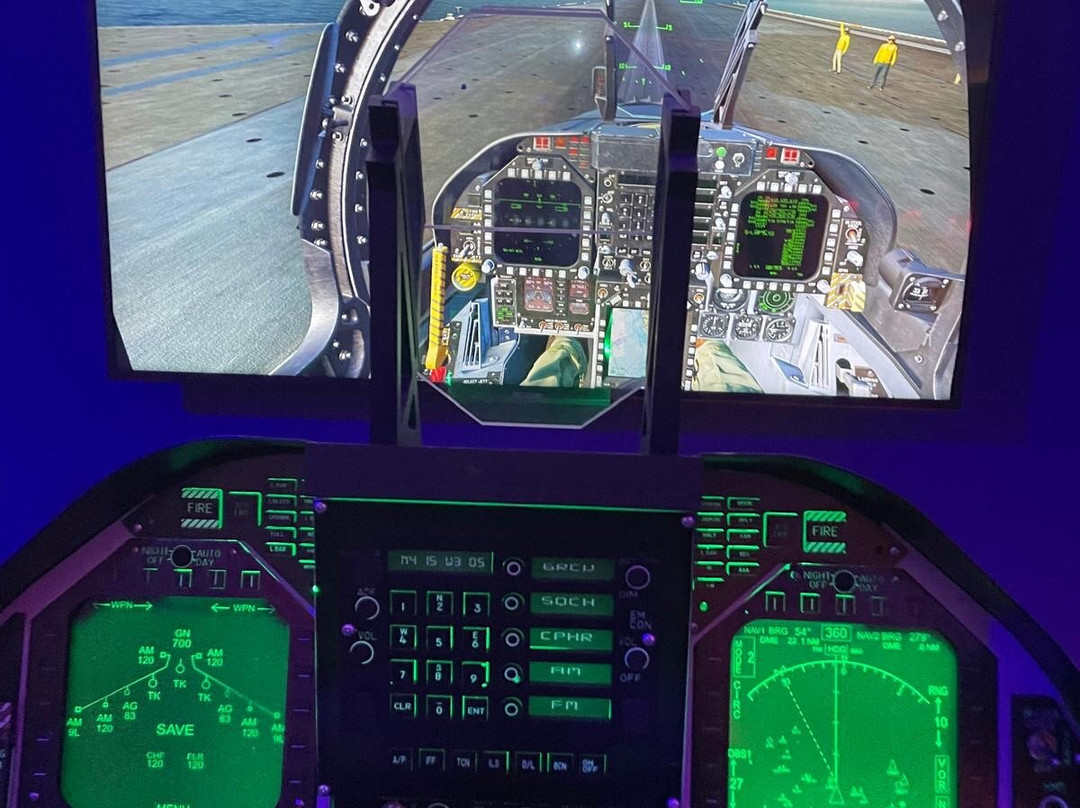 Dastyflysim - Professional Flight Simulator景点图片
