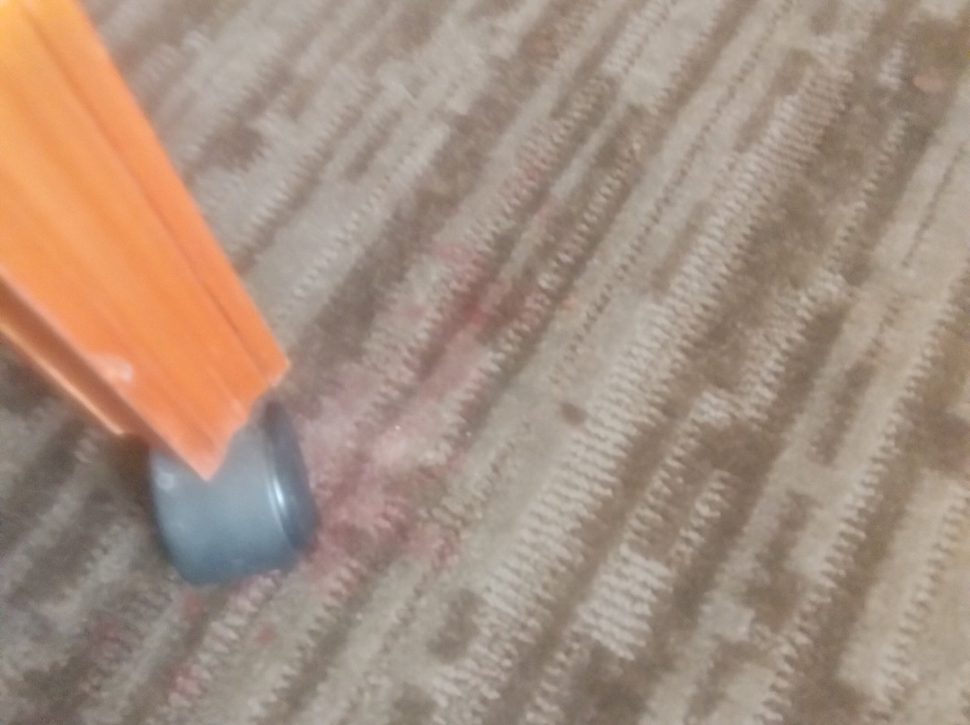 Pear Tree Inn Cape Girardeau Near the Medical Center主图