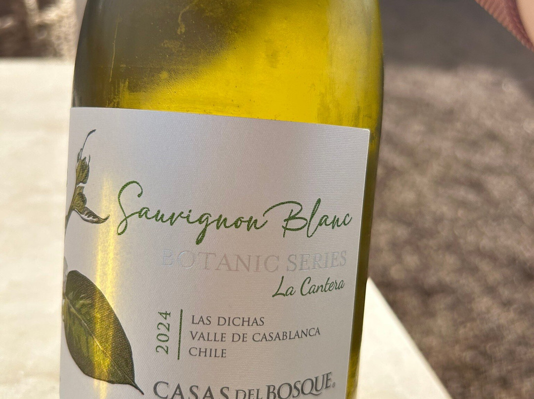 Viña Casas del Bosque-卡萨布兰卡必去景点