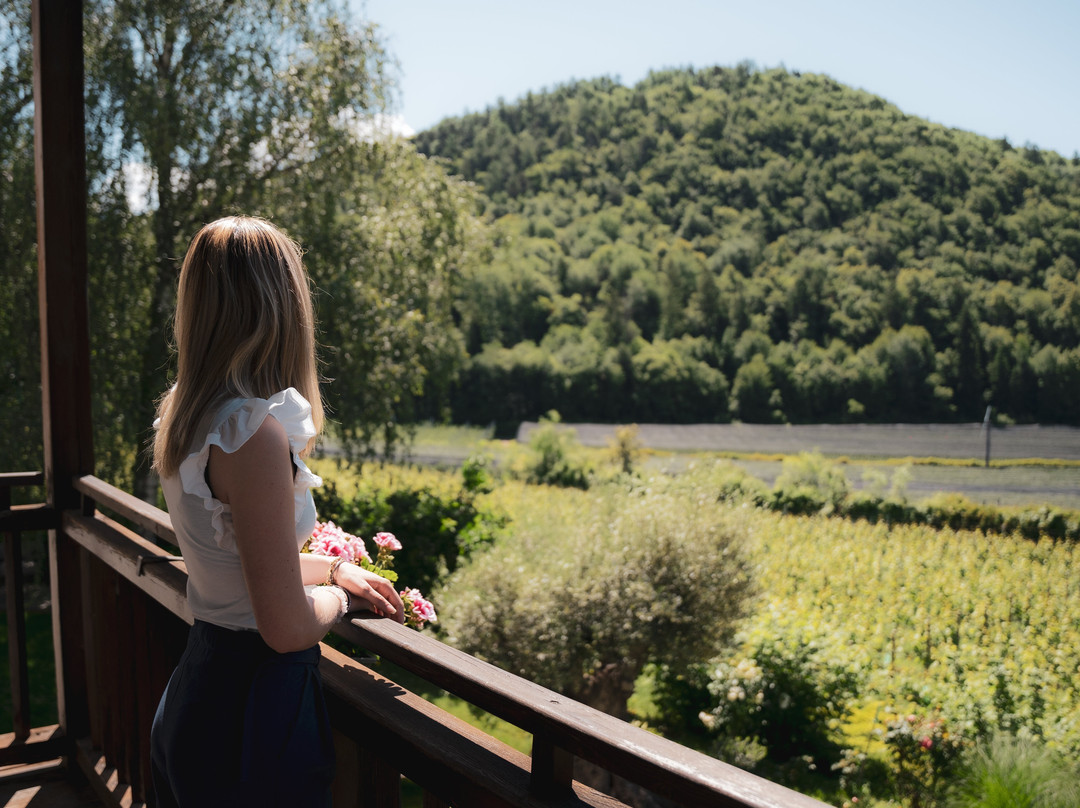 Unterhabsbergerhof主图